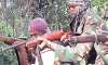 seven maoists killed in police encounter in gadchiroli