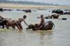 Panel is framing a draft law on the cleaning of the Ganga