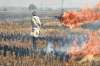 Stubble burning in Punjab and Haryana is a major cause of