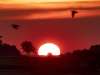 Europe reels under heatwave, 3 killed in