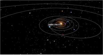 Potentially hazardous Apollo asteroid galloping towards Earth ...